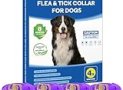 4 Pack Flea Collar for Dogs, Dog Flea and Tick Collar 8 Months Flea and Tick Prevent for Dog, Waterproof Adjustable Dog Flea Collar, Tick and Flea Collar for Large Small Dogs Puppy Flea Collar, Purple