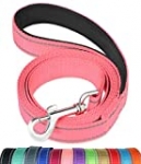 FunTags 6FT Reflective Dog Leash with Soft Padded Handle for Training,Walking Lead for Large & Medium Dog,1 Inch Wide,BABYPINK
