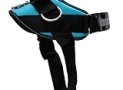 ShawnCo Essential Dog Harness, No-Pull Pet Vest with 3 Leash Clips, No Choke, Reflective, Adjustable and Padded, for Easy Walking and Training for Small, Medium and Large Dogs (Oceanic Blue, S)