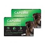Capstar Flea Tablets for Dogs Over 25 lbs., Count of 12, 12 CT