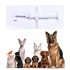 Resolve Pet Stain & Odor Carpet Cleaner, 22 oz (Pack of 3)