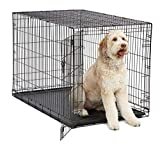 XL Dog Crate MidWest I Crate Folding Metal Dog Crate w/ Divider Panel, Floor Protecting Feet & Leak Proof Dog Tray 48L x 30W x 33H Inches, XL Dog Breed, Black