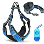 Btromeshy Step-in Dog Harness,Small Dog Harness and Leash Set,Adjustable 3M Reflective Pet Dog Vest for Puppy,Soft Air Mesh Step-in Harness for Small Medium Breed