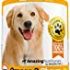 Veterinary Formula Antiseptic and Antifungal Medicated Shampoo 16 oz