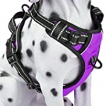 PoyPet No Pull Dog Harness, Reflective Vest Harness with Front and Back 2 Leash Attachments and Easy Control Handle for Small Medium Large Dog (Purple, Medium)