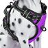 Old Tjikko Water Feeder for Dogs,1 Gallon Feeding Waterer Supplies,Automatic Dog Water Feeder Dispenser