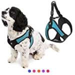 Gooby Dog Harness – Turquoise, Small – Escape Free Easy Fit Patented Step-in Small Dog Harness – Perfect on The Go – No Pull Harness for Small Dogs or Cat Harness for Indoor and Outdoor Use