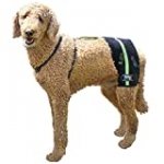 Walkin’ Hip-EEZ Dog Hip Brace Support Harness System | Provides Joint Support for Dogs with Hip Dysplasia and Other Conditions Affecting The Hip Joint.