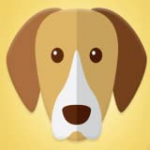 What Type Of Dog Are You?