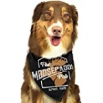 Rolfusha ‘Moo-Se-Pad-Dy’-Pub Plaid Bibs Triangle Bandanas Puppy Neck Scarf Collar Neckerchief Dogs Cats Pets Animals