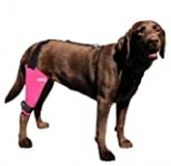 Walkabout Harnesses Pink Knee Brace for Dogs Treat ACL, CCL Injury, Arthritis, Joint Pain, Fatigue and Stress with The Walkabout Knee Brace (Medium-Large Left)