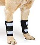 NeoAlly Pair of Dog Canine Front Leg Compression Brace with Metal Strips Support, Dual Metal Spring Inserts to Stabilize Dog Front Leg for Wrist Carpal, Prevents Leg Injuries & Sprains