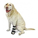 Walkin’ Pet Splint for Dogs | Front Leg Foot Splint for Dogs with Arthritis and Injuries