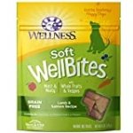 WELLNESS WellBites Grain-Free Lamb & Salmon Recipe Soft & Chewy Dog Treats, 6 Ounce Bag