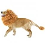 CPPSLEE Lion Mane for Dog Costumes, Dog Lion Mane, Realistic Lion Wig for Medium to Large Sized Dogs, Large Dog Halloween Costumes, lion mane for dog， Halloween Costumes for Dogs (Brown)