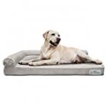 PetFusion BetterLounge Dog Bed Solid Orthopedic Memory Foam, Waterproof Liner & YKK Zippers. (Medium / Large & XL). Easy clean, Removable Micro-suede Cover(Replacements Available). 1 YR WARRANTY