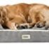 Petmate Sofa Pet Bed with Pillow, 20-inch by 16 -inch, Espresso