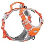 ThinkPet No Pull Harness Breathable Sport Harness with Handle-Dog Harnesses Reflective Adjustable for Medium Large Dogs,Back/Front Clip for Easy Control M Neon Orange