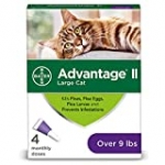 Advantage II 4-Dose Large Cat Flea Prevention, Flea Prevention for Large Cats, 9 Pounds and Over