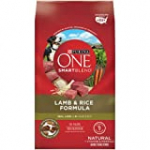Purina ONE Natural Dry Dog Food, SmartBlend Lamb & Rice Formula – 31.1 lb. Bag