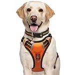 WINSEE Dog Harness No Pull, Pet Harnesses with Dog Collar, Adjustable Reflective Oxford Outdoor Vest, Front/Back Leash Clips for Small, Medium, Large, Extra Large Dogs, Easy Control Handle for Walking