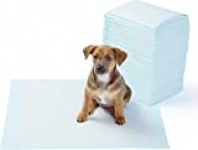 AmazonBasics Dog and Puppy Leak-proof 5-Layer Potty Training Pads with Quick-dry Surface, Regular (22 x 22 Inches) – Pack of 100