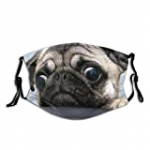 Funny Dog Humor Pug Face Mask With Filter Pocket Washable Reusable Face Bandanas Balaclava With 2 Pcs Filters