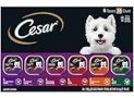 CESAR Adult Wet Dog Food Classic Loaf in Sauce Grilled Chicken, Filet Mignon, Porterhouse Steak, Beef, Chicken & Liver and Turkey Variety Pack, 3.5 Ounce (Pack of 36)