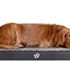 Aspen Pet Bolster Ortho Pet Bed, 35 x 25, Assorted Blue/Brown