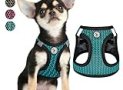 Step in Small Dog Harness (for Under 20lbs Dogs) Air Mesh Extra Small Dog Harness Vest Puppy Harness & Cat Harness XXXS-L Reflective Dog Harness for Small Dogs (XX-Small, Bright Blue)