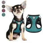 Step in Small Dog Harness (for Under 20lbs Dogs) Air Mesh Extra Small Dog Harness Vest Puppy Harness & Cat Harness XXXS-L Reflective Dog Harness for Small Dogs (XX-Small, Bright Blue)