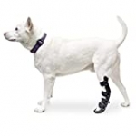 Walkin’ Pet Splint for Dogs | Canine Rear Foot Splint Helps Brace Lower Back Limbs