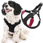 Gooby Sporty Escape Free Harness, Medium – Black, Neoprene, No-Pull, 4-Point Adjustment for Small Dogs up to 35 lbs