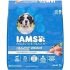 Finn Digestive Probiotics for Dogs – Complete Digestive System Support with Pumpkin, Prebiotics, & Live Probiotics – Vet Recommended & Made in The USA – 90 Soft Chews