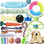 Dog Chew Toys for Puppy Teething – 20 Pack Indestructible Pet Dog Toys for Puppy Chewers, Interactive Tug of War Rope Toys for Puppies, Small Dogs Durable Squeaky Toys for Boredom Chew Teething