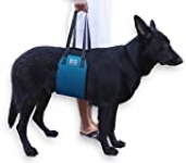 XL Blue Dog Lift Support Harness for Canine aid – Lifting Older K9 with Handle for Injuries, Arthritis or Weak hind Legs & Joints. Large / X-Large Breed Assist Sling for Mobility & Rehabilitation