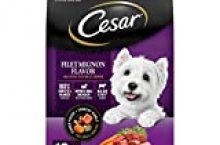 CESAR Small Breed Dry Dog Food Filet Mignon Flavor with Spring Vegetables Garnish Dog Kibble, 12 lb. Bag