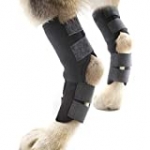 Dog Leg Brace, Supportive Rear Leg Hock Joint Wrap for Hind Legs, Prevents Injuries, One Pair (M)