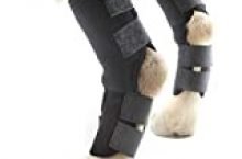 Dog Leg Brace, Supportive Rear Leg Hock Joint Wrap for Hind Legs, Prevents Injuries, One Pair (M)