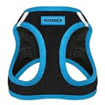 Voyager Step-In Air Dog Harness – All Weather Mesh Step in Vest Harness for Small and Medium Dogs by Best Pet Supplies – Blue, Medium