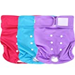 Wegreeco Washable Reusable Premium Dog Diapers, Large, Bright Color, for Female Dog, Pack of 3