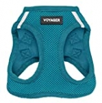 Best Pet Supplies Voyager Step-in Air Dog Harness – All Weather Mesh, Step in Vest Harness for Small and Medium Dogs, Turquoise (Matching Trim), XS (Chest: 13-14.5″) (207-TQW-XS)