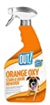 OUT! Orange Oxy Stain and Odor Remover | Pet Stain and Odor Remover | 32 Ounces