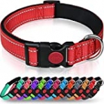 Taglory Reflective Dog Collar with Safety Locking Buckle, Adjustable Nylon Pet Collars for Small Dogs, S, Red