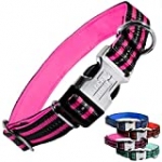 Black Rhino – Classic Striped Adjustable Dog Collar for Small Medium Large Breeds | 3m Reflective Threading | 4 Bright Colors – Matching Leashes Sold Separately (Pink Striped, Large)