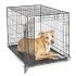 MidWest Homes for Pets Single Door Blue Folding Metal Dog Crate w/ Divider Panel, Floor Protecting ‘Roller’ Feet & Leak Proof Plastic Tray, 24L x 18W x 19H Inches, Small Dog Breed