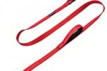 Max and Neo Double Handle Traffic Dog Leash Reflective – We Donate a Leash to a Dog Rescue for Every Leash Sold (RED, 6 FT)