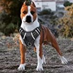 BABYLTRL Big Dog Harness No Pull Adjustable Pet Reflective Oxford Soft Vest for Large Dogs Easy Control Harness (M, Black)