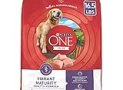 Purina ONE High Protein Dry Senior Dog Food Plus Vibrant Maturity Adult 7 Plus Formula – 16.5 lb. Bag