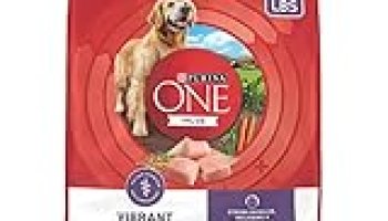 Purina ONE High Protein Dry Senior Dog Food Plus Vibrant Maturity Adult 7 Plus Formula – 16.5 lb. Bag